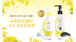 Dove Mimosa