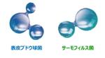 菌のイメージ画像
